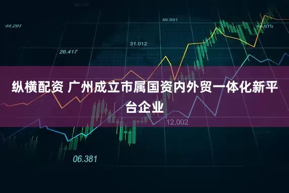 纵横配资 广州成立市属国资内外贸一体化新平台企业
