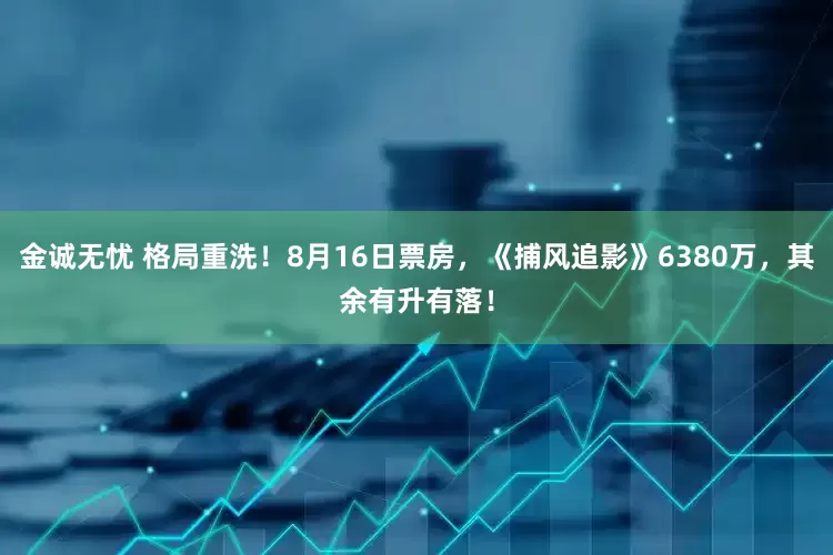 金诚无忧 格局重洗！8月16日票房，《捕风追影》6380万，其余有升有落！